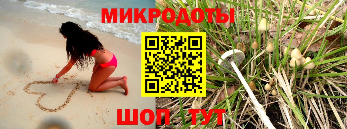 сколько стоит  Псилоцибиновые грибы MAGIC MUSHROOMS  Вход с VPN  Бугуруслан 